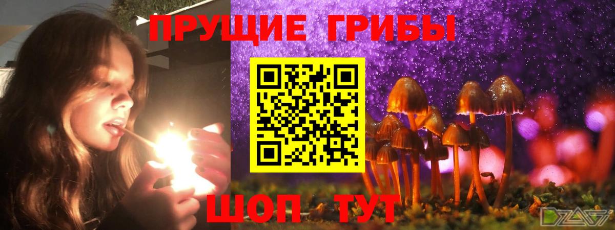 Кореновск  Галлюциногенные грибы мицелий  Галлюциногенные грибы Cubensis  Вход с VPN 