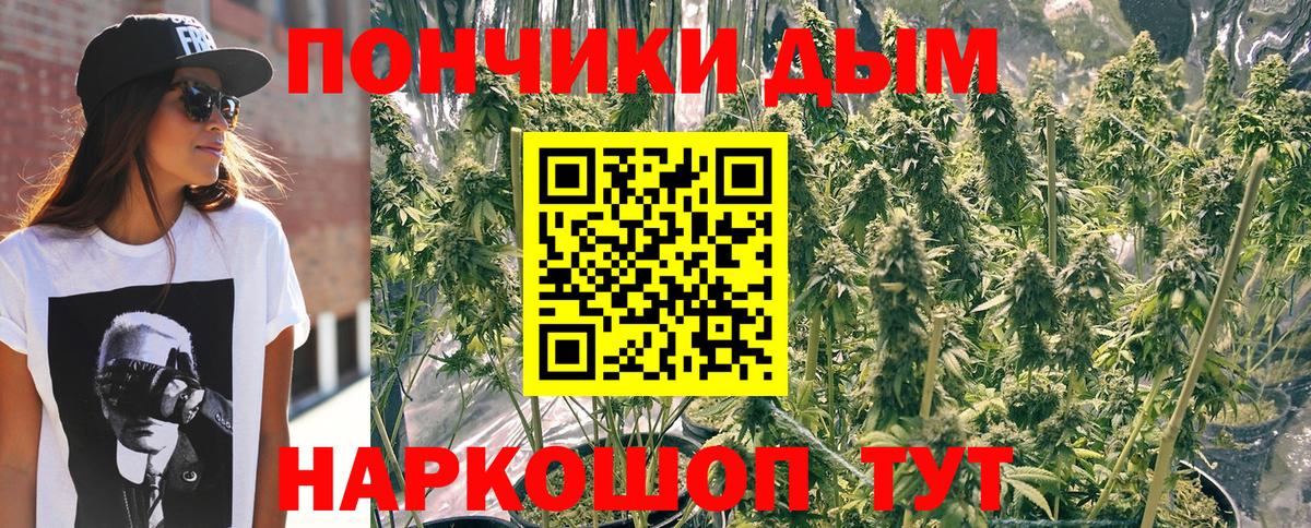 Шишки марихуана план  Канабис планчик  Шишки марихуана ГИДРОПОН  Кореновск 